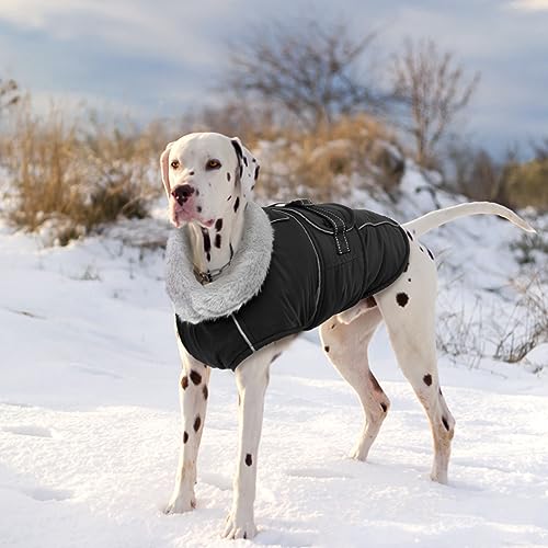 Lelepet Dog Coats for Small Dogs Refletive Dog Jacket with Adjustable Fit - color: Black, size: S