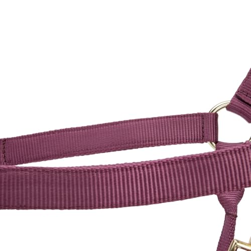 Shires ARMA Adjustable Nylon Halter - color: Burgundy, size: Pony