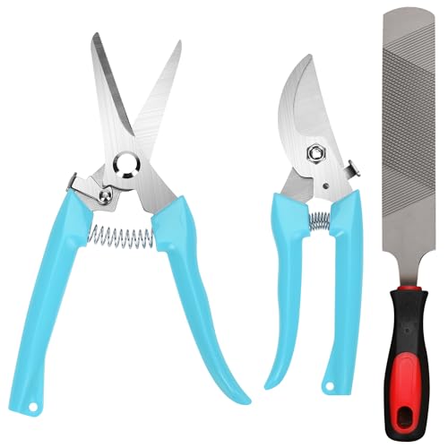 PEUTIER 3pcs Goat Hoof Trimmers and File, Nail Clippers for Goats Hoof Nippers Curved/Straight Head Sheep Hoof Trimming Shears Hoof Rasp Horseshoe File for Goat Sheep Lamb Pig Animal Hooves (Blue)