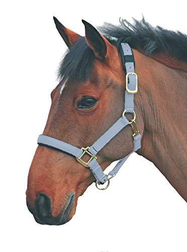 Shires Topaz Leather Breakaway Nylon Headcollar - color: Grey, size: X-Small Pony