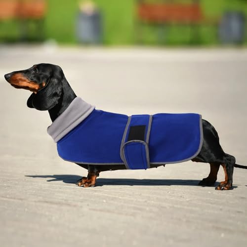 Dachshund Coats Sausage Dog Fleece Coat in Winter Miniature Dachshund Clothes with Hook and Loop Closure and high vis Reflective Trim Safety - Blue - M - color: Blue, size: Medium(Back: 17"-18"in)