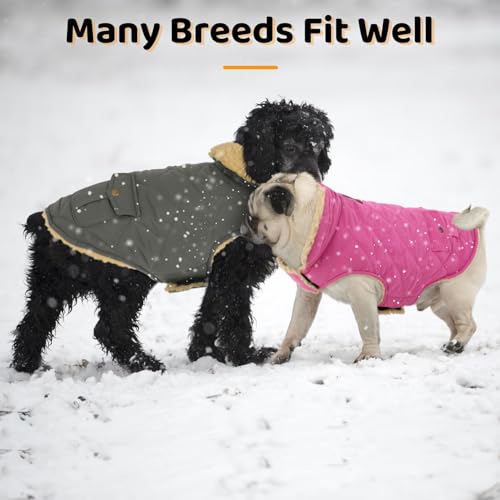 Queenmore XS Waterproof Dog Winter Coat Cold Weather Warm Fleece Jacket - color: Pink, size: X-Small