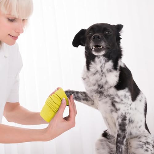 ROZKITCH 4 PCS Dog Arm Sleeves for Licking Scratching Elbow Front Legs - color: Yellow, size: S-Leg Girth: 2.04in
