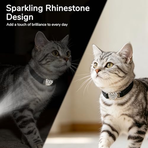 BINGPET Diamond Cat Collar with Bell, Adjustable Kitten Collar, Black - color: Black(Heart), size: Neck Girth 6"-8"