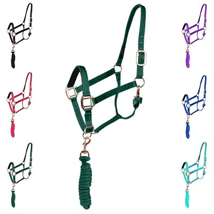 Majestic Ally Halter with Lead Rope for Horses–Adjustable Chin and Crown–Rolled Throat Latch with Replaceable Snap–Padded Noseband–Heavy Duty Rose Gold Finish Hardware - color: Hunter Green