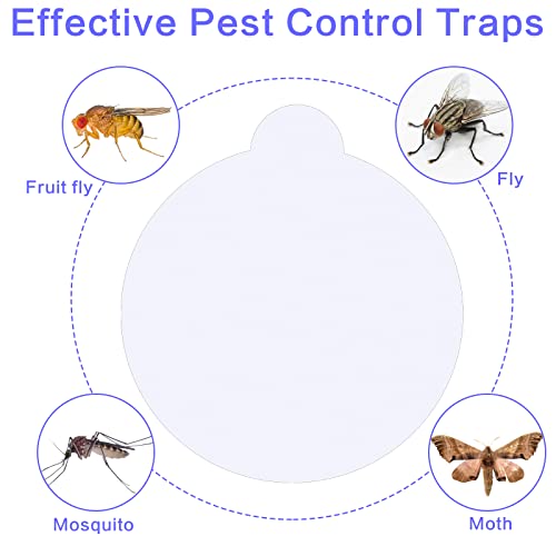 Qualirey 144 Sheets Refill Glue Boards Mosquito Trap Indoor Flea Trap Refills Fly Glue Boards Discs Indoor Insect Trap 4.33 Inch Fits Most Models Mosquito Killer Lamp