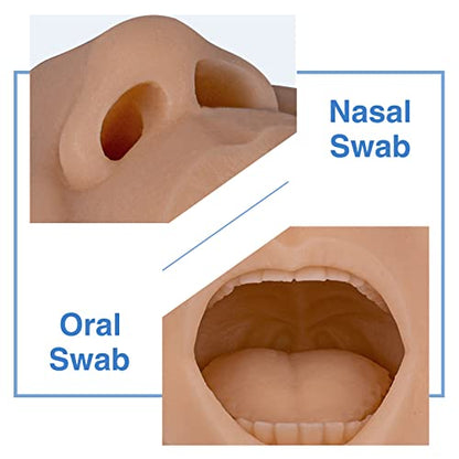 Nasal Swab Training Model, Throat and Oral Swab Collection Simulator - color: brown