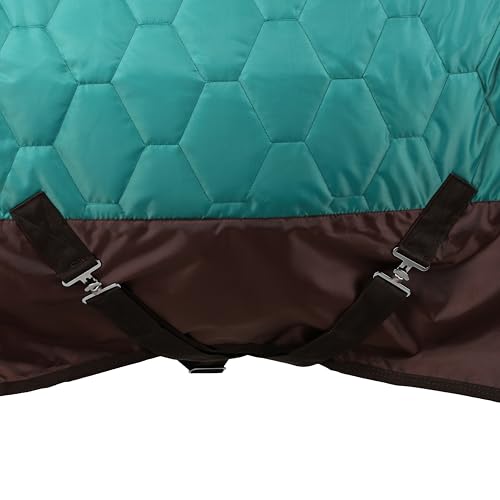 Showman 420 Denier Quilted Nylon Horse Blanket - color: Teal, size: 62"