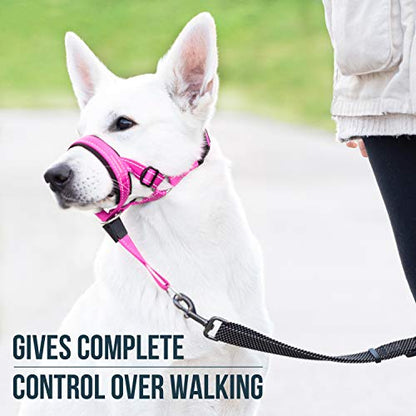 GoodBoy Dog Head Halter with Safety Strap - Stops Heavy Pulling On The Leash - Padded Headcollar for Small Medium and Large Dog Sizes - Head Collar Training Guide Included (Size 2, Pink Nylon) - color: Pink Nylon / Black Padding, size: Size 2 (Pack of 1)
