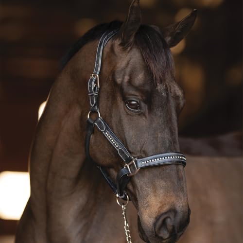 Henri de Rivel Ergonomic Premium Leather Padded Crystals Halter - Black - Cob - color: Black, size: Cob