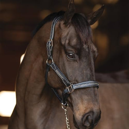 Henri de Rivel Ergonomic Premium Leather Padded Crystals Halter - Black - Cob - color: Black, size: Cob