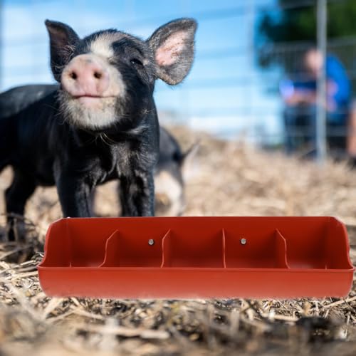 POPETPOP 5-Compartment Piglet Feed Trough Plastic Pig Feeder Manger 21.25X7.08X5.11 Inch Easy to Clean Livestock Feeding Tool for Farm Use - color: 1PC