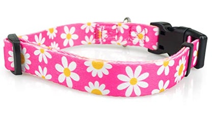 Limeloot Pink Daisy Dog Collar, Spring Summer Dog Collar for Female Dogs, Medium - color: Pink Daisy, size: Medium