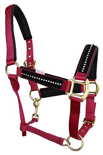 CHALLENGER Nylon Horse Neoprene Padded Purple Halter Brass Hardware w/Rhinestones 606172PK - color: Pink