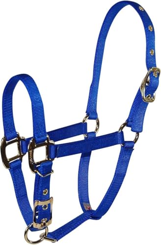Hamilton Deluxe Adjustable Horse Halter, 100-200 lbs, Blue - color: Blue, size: Foal, 100-200lbs