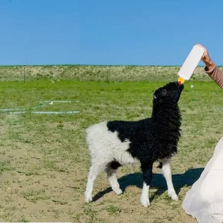 Goat Nipple and Bottles Set for Feeding Sheep Goat Lamb Puppy - color: White 12