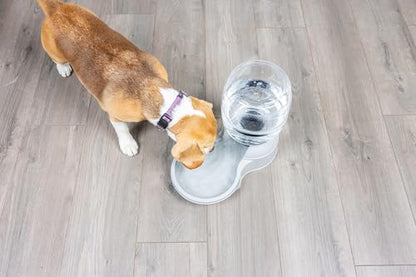 Petmate Aspen Pet Lebistro Water Dispenser for Cats and Dogs, 1 Gal Size
