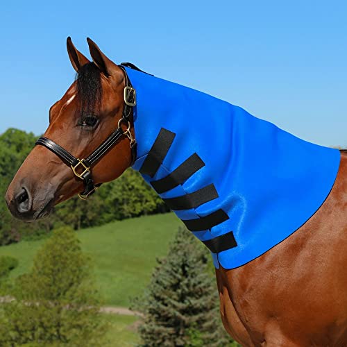 Dura-Tech Superior Neck Sweat for Horses | Horse's Sculpting Aid | Designed by Professionals | Stretchy Neoprene Adjustable Closure | Achieve Quick Results | Size Small - size: Small
