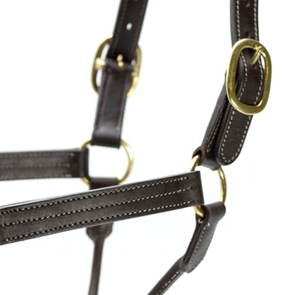 Jeffers Lexington Triple Stitched Leather Halter for Horses – Adjustable Double Buckle Crown, Breakaway Option, Equestrian Horse Tack for Riding, Show, Travel, & Turnout - size: Cob
