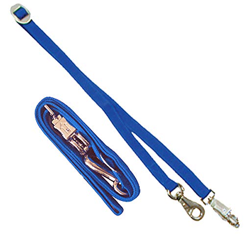 Intrepid International Durable and Secure Nylon Cross Ties, Adjustable 40-75 inches, Cross Ties for Horses, Horse Tie Down with Panic and Breakaway Snap, Attaches to Halter - color: Blue