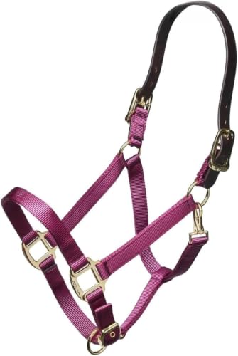ARMA Shires Nylon Halter with Leather Head Strap - color: Burgundy, size: Pony
