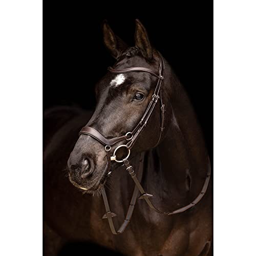 LeMieux Arika Drop Bridle - color: Brown/Silver, size: Pony