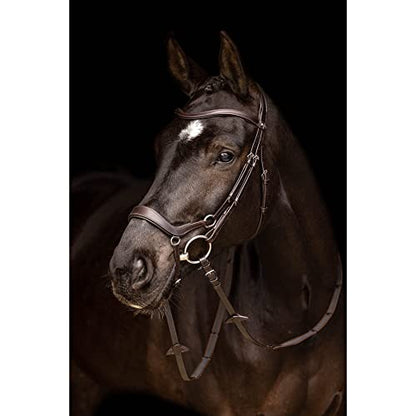 LeMieux Arika Drop Bridle - color: Brown/Silver, size: X-Full
