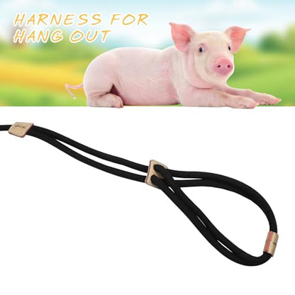 Pig Harness, Adjustable 8 Feet Leash for Small to Medium Pet Pigs