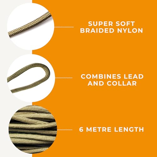 Dog & Field Long Dog Leash for Dog Training - 20ft. Long Line Leash, Soft Braided Nylon Rope. Extra Long Lead for Dogs, for Running, Camping, Yard & Hiking, Suitable for All Breeds, 20ft