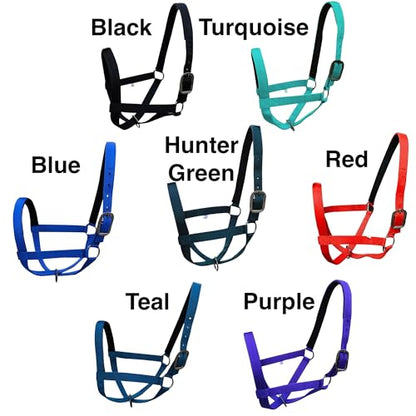 Majestic Ally Adjustable Nylon Cattle Halter with Padded Crown and Nose - 6-Month Warranty - color: Turquoise