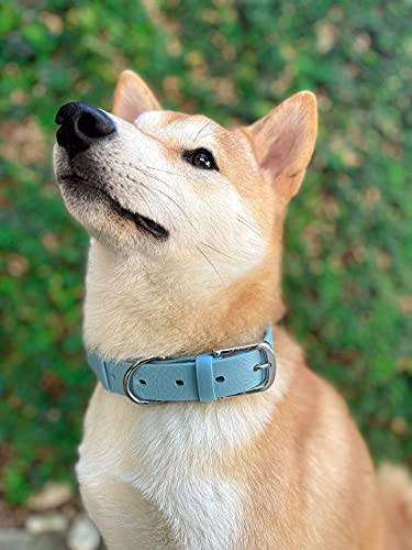 Tuff Pupper Heavy Duty Waterproof Dog Collar for Small, Medium & Large Dogs - color: Sky Blue