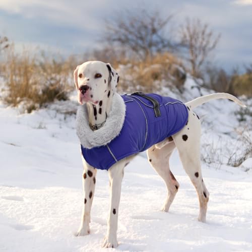 Lelepet Dog Coat Waterproof Dog Jacket Fleece Vest with Adjustable Buckle - color: Blue, size: S