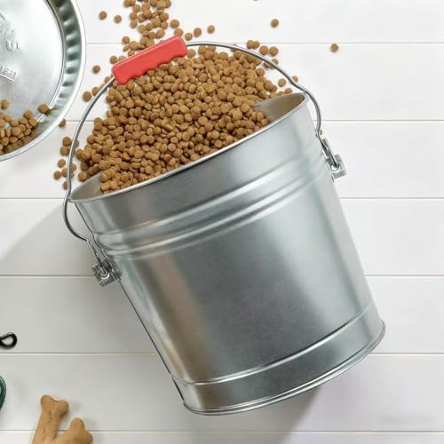 6-Gallon Galvanized Steel Storage Can with Locking Lid, Airtight Food Container for Dry Food, Pet Food, and Bird Seed