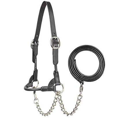 Derby Originals New and Improved Premium Round Rolled Leather Cattle Show Halter with Matching Chain Lead - color: Black, size: Large (950lbs-1500lbs)