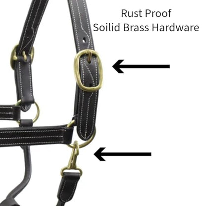 Derby Originals Coventry Triple Stitch Adjustable Leather Halter, Draft