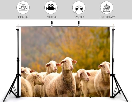 7x5ft Fabric Closeup Fluffy White Sheep Backdrop Group Wool Lamb Soft Blurred Autumn Bush Rural Farm Scene Photography Background Tapestry Party Country Farm Decorations Photo Booth Props - size: 7x5ft