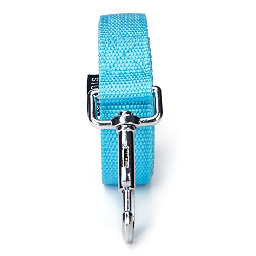 Strong Durable Nylon Dog Training Leash, 1 Inch Wide Traction Rope, 6 ft Long, for Small and Medium Dog (Mint Blue, 6 Feet) - color: Mint blue, size: 6 Feet