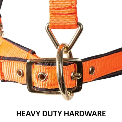 Dura-Tech Deluxe Fully Padded Breakaway Horse Halter | 1” Double Ply Nylon Web Overlay | Heavy-Duty Hardware | Semi Custom Fit | 3-Point Cheek Attachment - color: Black, size: Oversize
