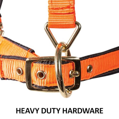 Dura-Tech Deluxe Fully Padded Breakaway Horse Halter | 1” Double Ply Nylon Web Overlay | Heavy-Duty Hardware | Semi Custom Fit | 3-Point Cheek Attachment - color: Navy, size: Full Size