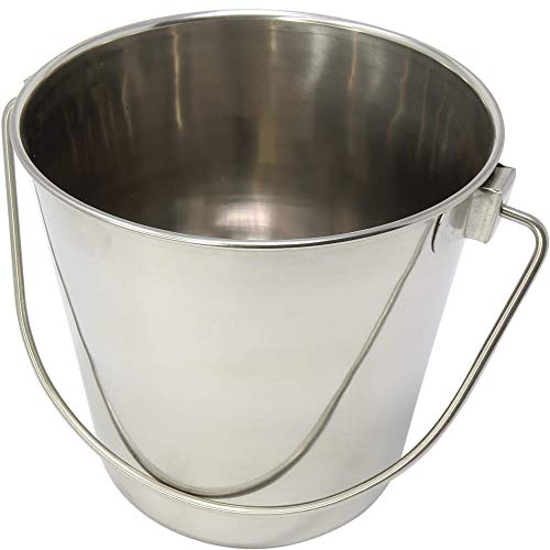 800100 2 Quart Stainless Steel Pail Bonka Bird Toys Durable Shiny Pets Food Water Liquid Treat Feed - size: (2) Quart