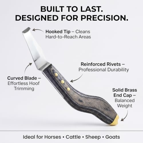Premium Hoof Knife with Brass End, Stainless Steel