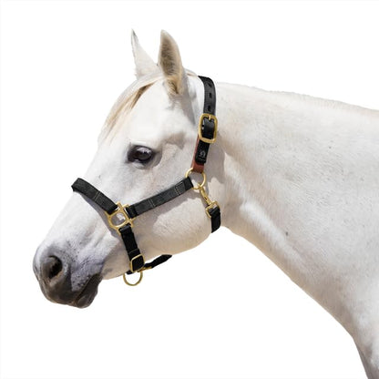 Kensington Premium Breakaway Halter with Padded Nose — Added Breakaway Safety Measures — Snap at Throat for Identical Fit Each Time - color: 204-Raven, size: Large
