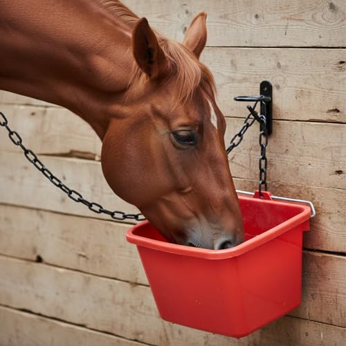 6 Pcs Blakc Bucket Hangers for Horse Wate, Heavy Duty 5 Gallon Bucket Hook
