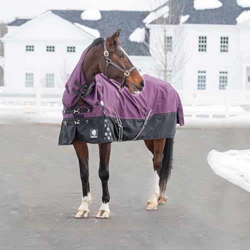 Equinavia Thunder 360 Detachable Neck Light Weight Turnout Blanket 100g - Plum Wine - 75 in - color: Plum Wine, size: 75 in
