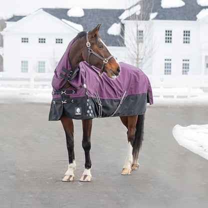 Equinavia Thunder 360 Detachable Neck Light Weight Turnout Blanket 100g - Plum Wine - 78 in - color: Plum Wine, size: 78 in