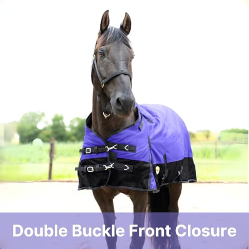RESISTANCE Premium 1200 Denier Waterproof Horse Turnout Blanket with 300g Polyfill & Adjustable Buckle Closure - color: Purple, size: 84"