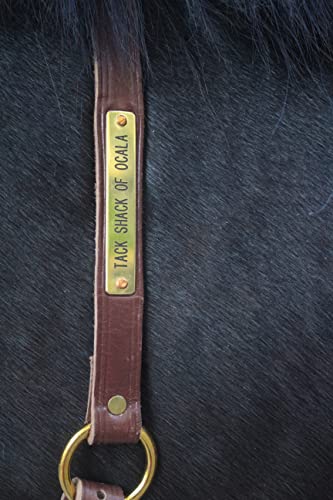 Tack Shack of Ocala Neck Straps with Custom Engraved Name Plate for Horse| Pony, Horse, Yearling, and Adjustable Light Brown Leather with Brass Plate Optional - size: Yearling