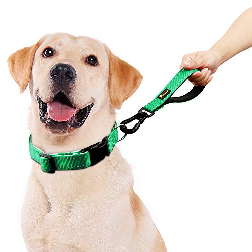 PLUTUS PET 10” Short Dog Leash, Reflective Nylon Padded Handle, Strong Traffic Leash with Carabiner Clip, Perfect for Large or Medium Dogs（10”，Green | Reflective, Heavy Duty Strong Nylon, Traffic Leash with Carabiner Clip for Training Walking (10", Green)