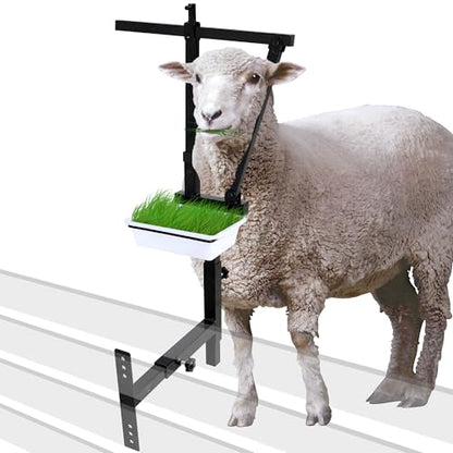 Adjustable Goat Stand Headpiece, Livestock Milking Stand Head Holder with Removable Feeding Tray, Goat Sheep Stand Accessories Head Fixing Frame for Trimming Shearing