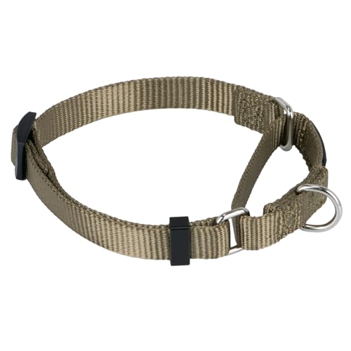 Hyhug Martingale Collar for Dogs Small Green |Escape - Proof Heavy Duty Nylon Durable No Buckle, Ideal for Training & Daily Walks | Heavy-duty nylon delivers gentle control for puppies. Ideal for training and park walks. Adjustable, comfortable, and secur